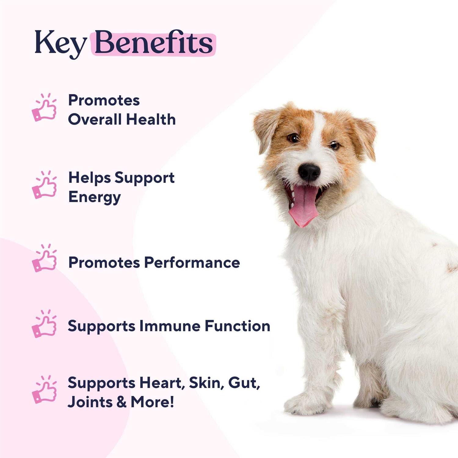 Pawfy Multivitamin Chews - Nail Gallerys