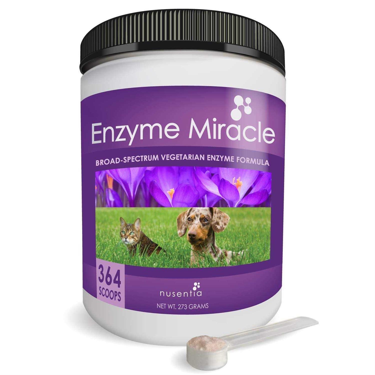 Enzyme Miracle Digestive - Nail Gallerys