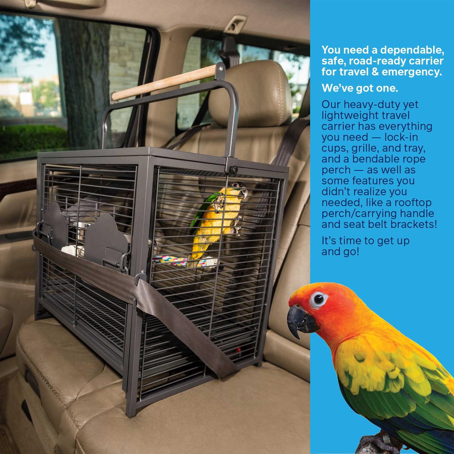 Prevue Pet Products Travel Carrier - Nail Gallerys