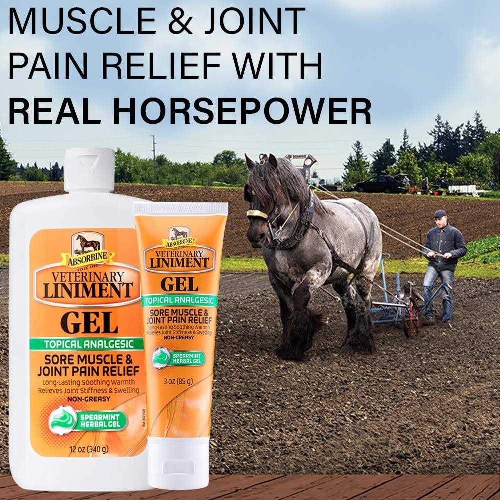 Absorbine Veterinary Liniment Gel Topical Menthol Analgesic Rub for Sore Muscle - Nail Gallerys