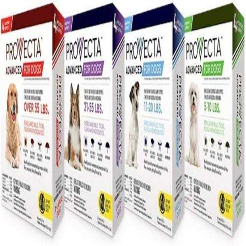 Provecta 4 Doses Advanced for Dogs - Nail Gallerys