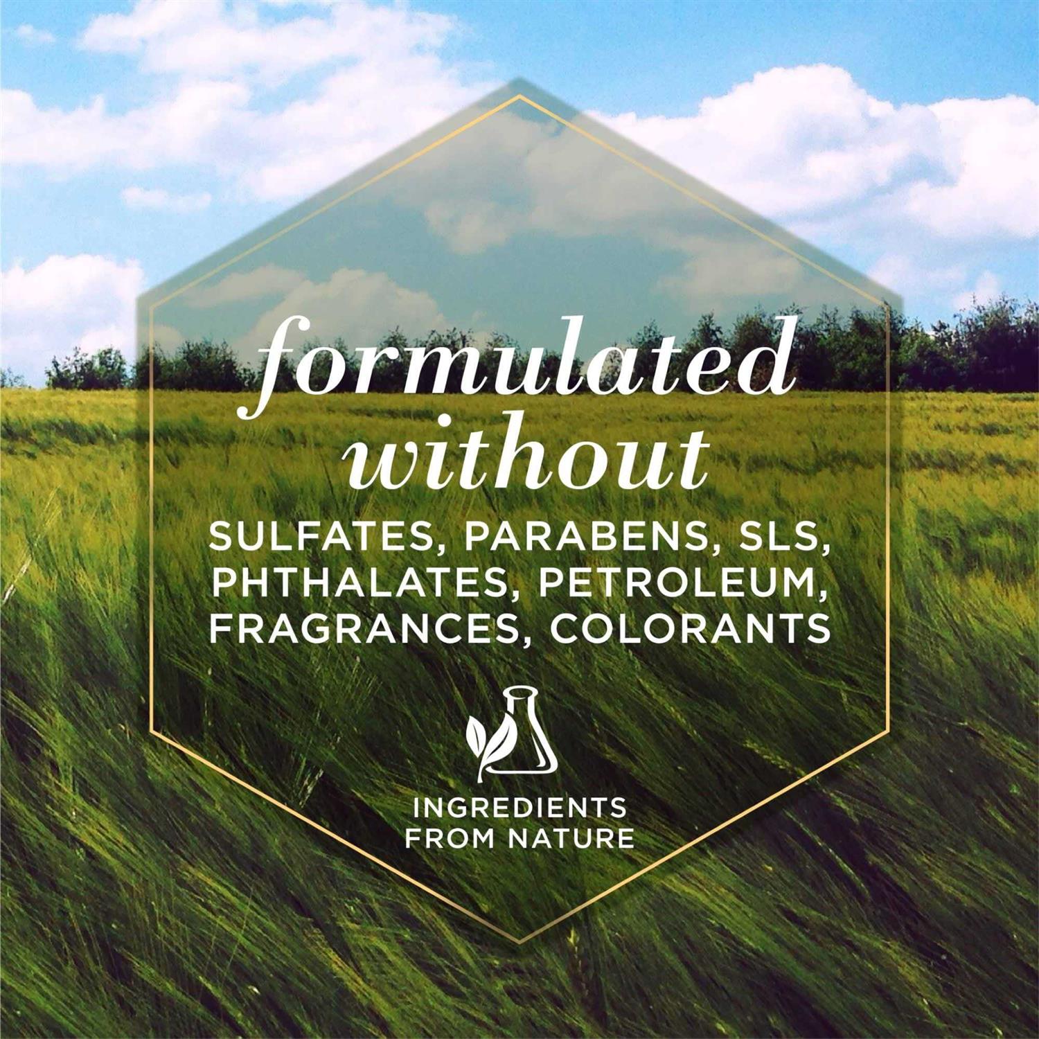 Burt’s Bees Multipurpose Wipes for Dogs - Nail Gallerys