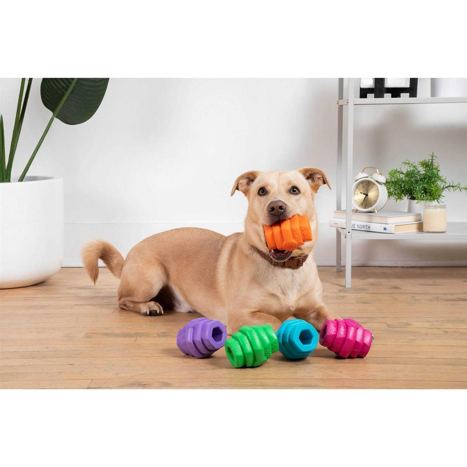 Project Hive Pet Company Dog Chew Toy - Nail Gallerys