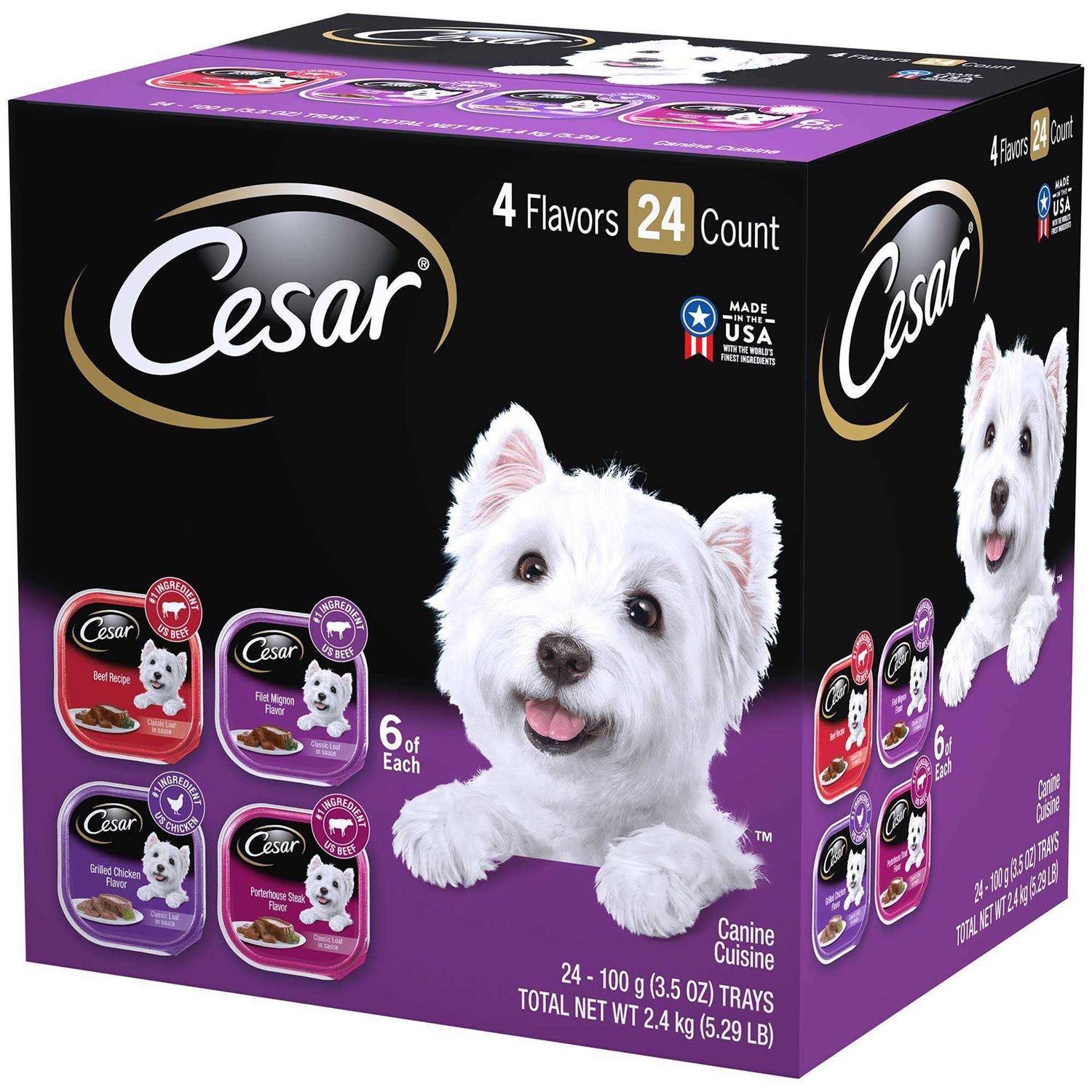 Cesar Classic Loaf in Sauce Wet Dog Food Variety Pack - Nail Gallerys