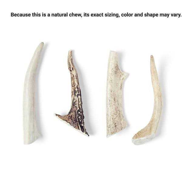 Bones & Chews Made in USA Deer Antler Dog Chew - Nail Gallerys