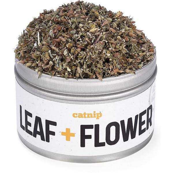 Litterbox.com™ Silver Vine Catnip in Bisque - Nail Gallerys