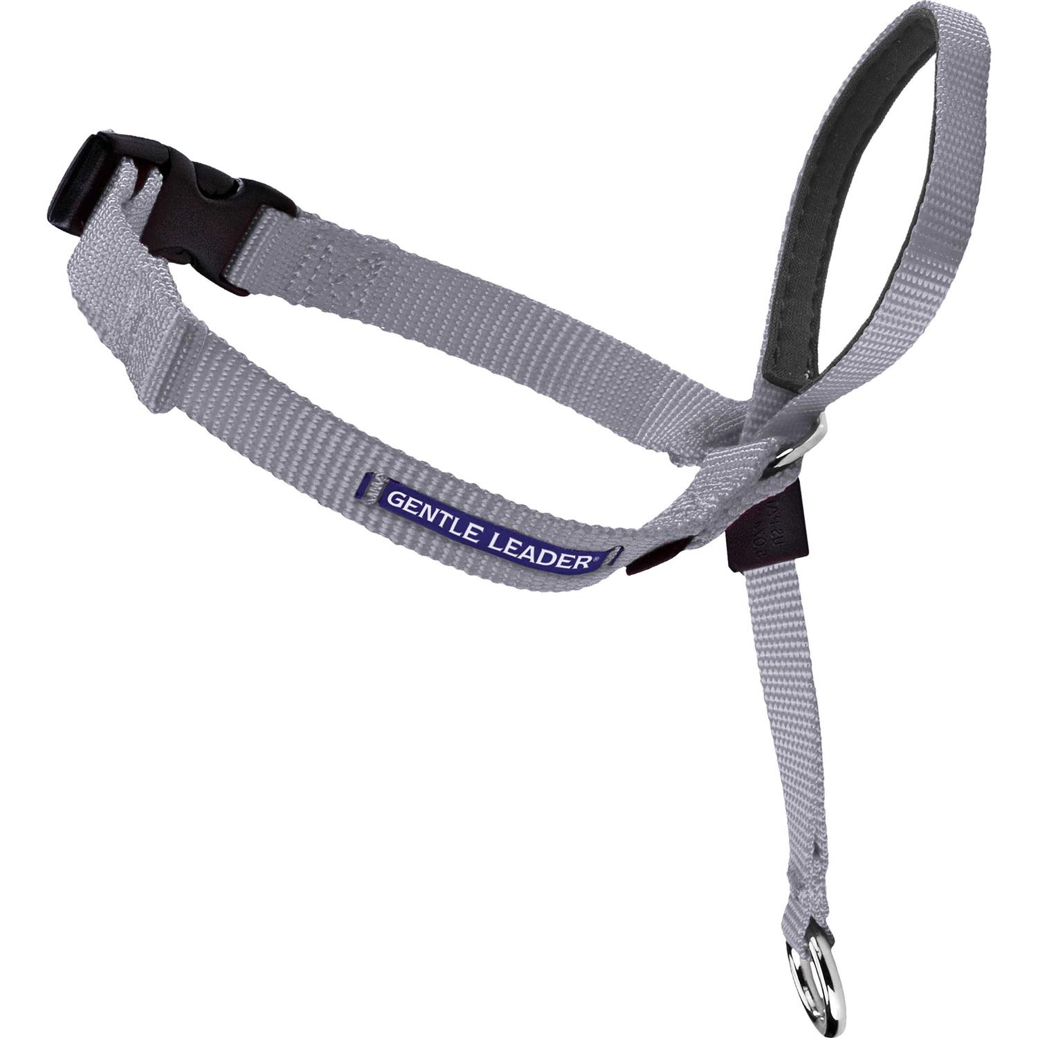 PetSafe Gentle Leader Headcollar - Nail Gallerys