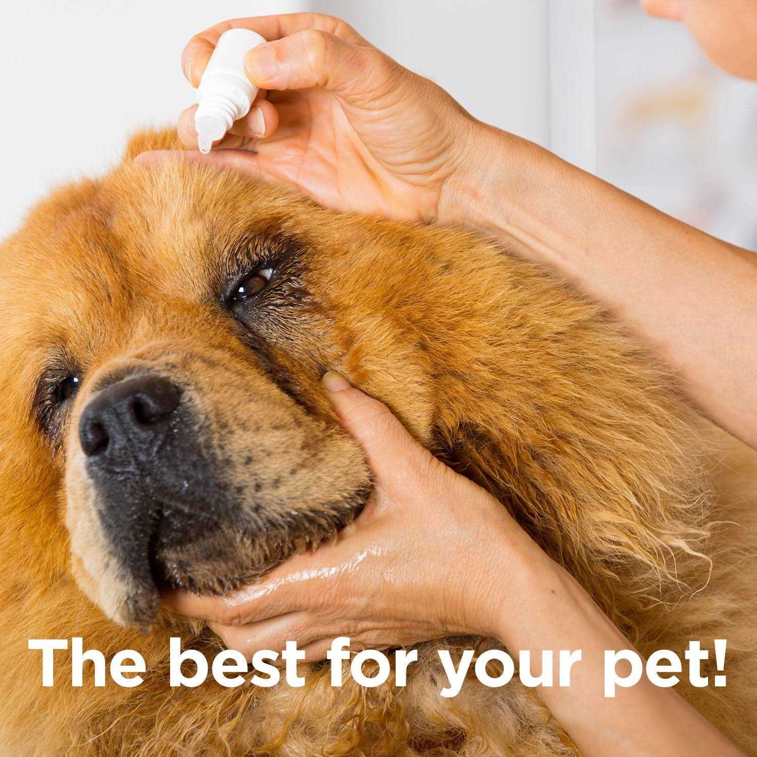 Ocluvet Eye Drops for Pets with Cataracts - Nail Gallerys