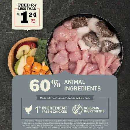 Adult Small Breed Acana - Nail Gallerys