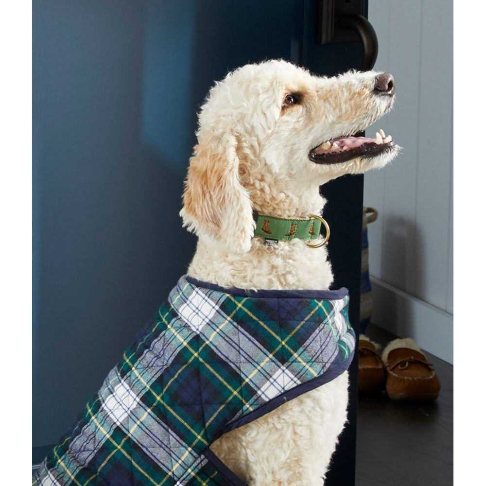 L.L.Bean Novelty Dog Collar - Nail Gallerys