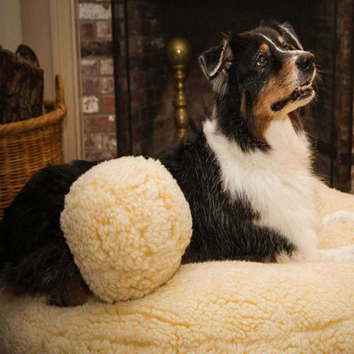 HuggleHounds HuggleFleece Ball Dog Toy - Nail Gallerys