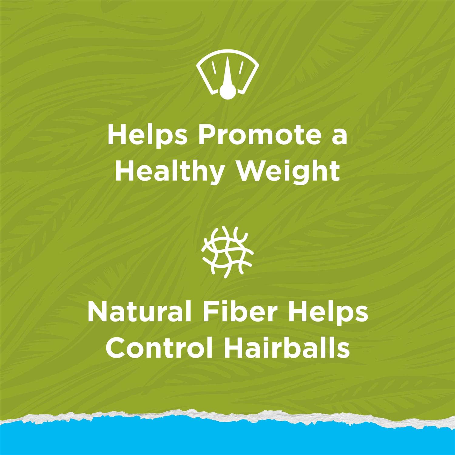 Purina Cat Chow Naturals Indoor Dry Cat Food - Nail Gallerys