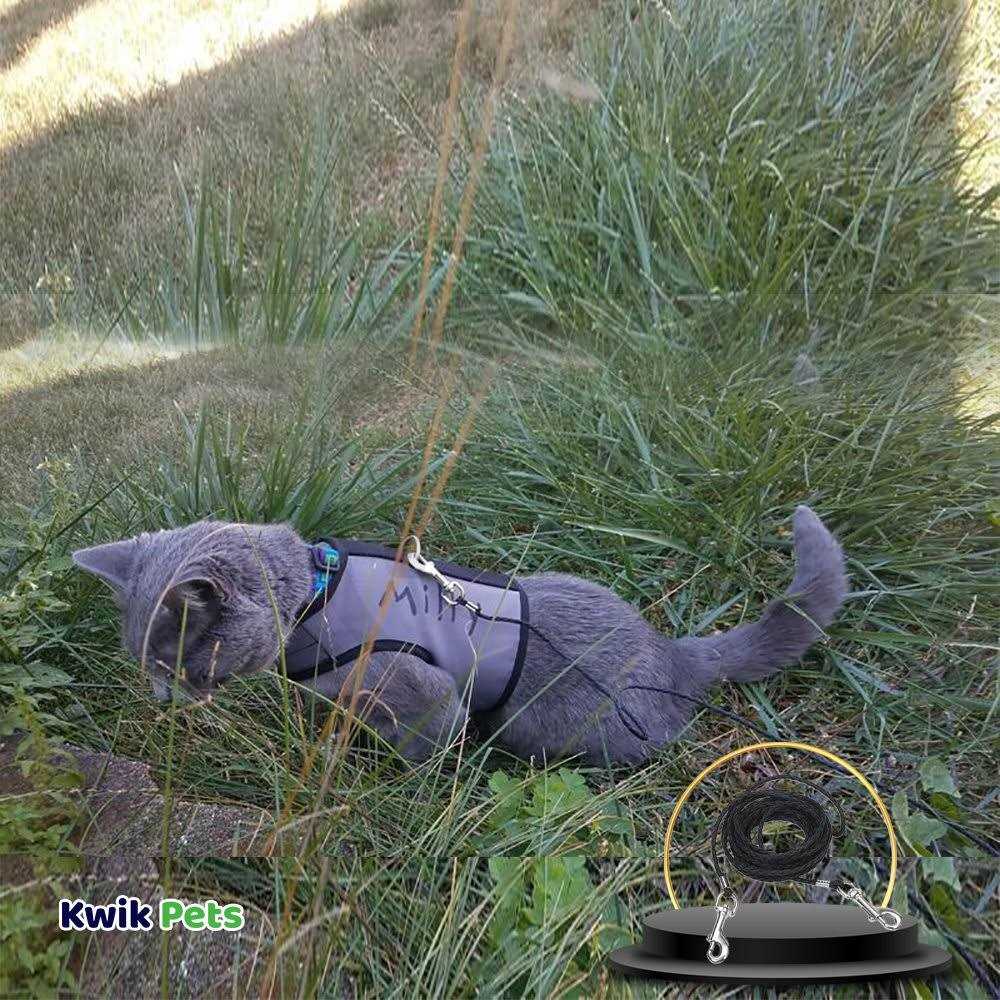 Coastal Poly Cat Tie Out - Nail Gallerys