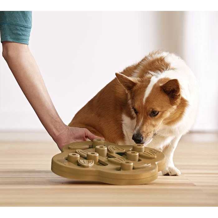 Outward Hound Hide N Slide Puzzle Dog Toy - Nail Gallerys