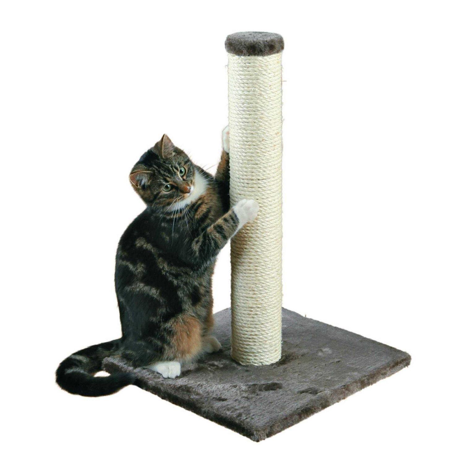 Trixie Parla Scratching Post - Nail Gallerys