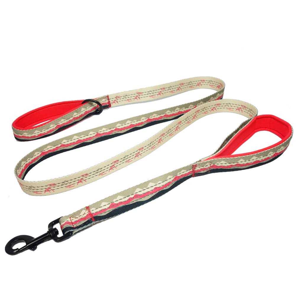 Leashboss 6ft Dog Leash Padded Handle - Nail Gallerys