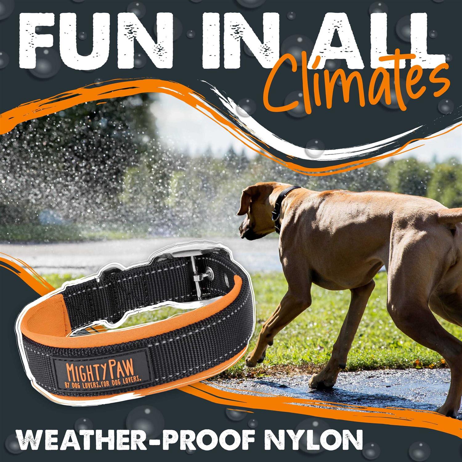 Mighty Paw Sport 2.0 Dog Collar - Nail Gallerys