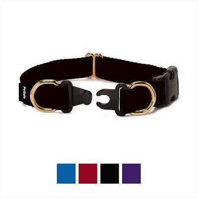 PetSafe Keepsafe Break-Away Dog Collar - Nail Gallerys