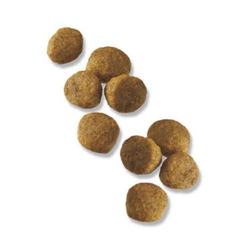 Purina Pro Plan Chicken & Rice Formula Puppy Small Breed Dry Dog Food - Nail Gallerys