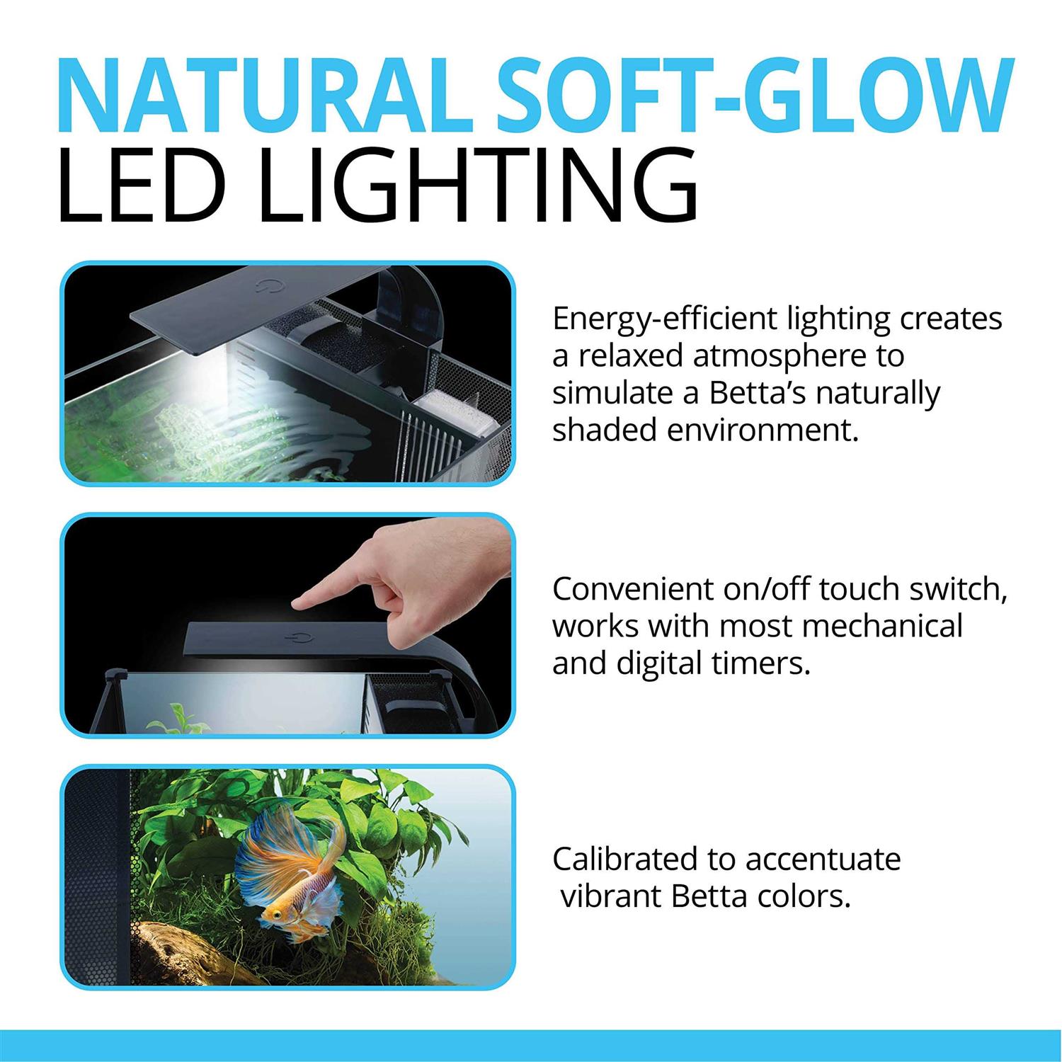 Fluval Premium Betta Kit - Nail Gallerys