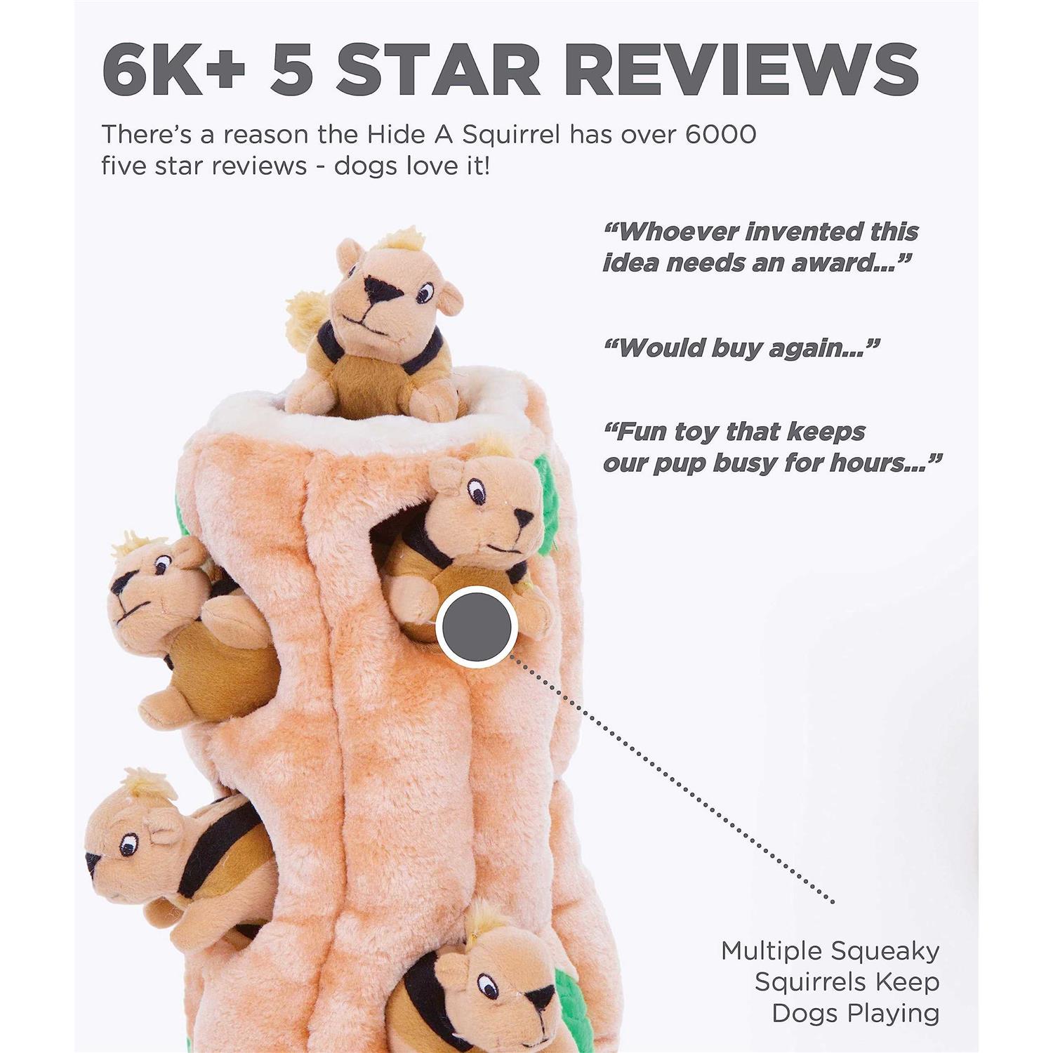 Outward Hound Hide A Squirrel Dog Toy - Nail Gallerys