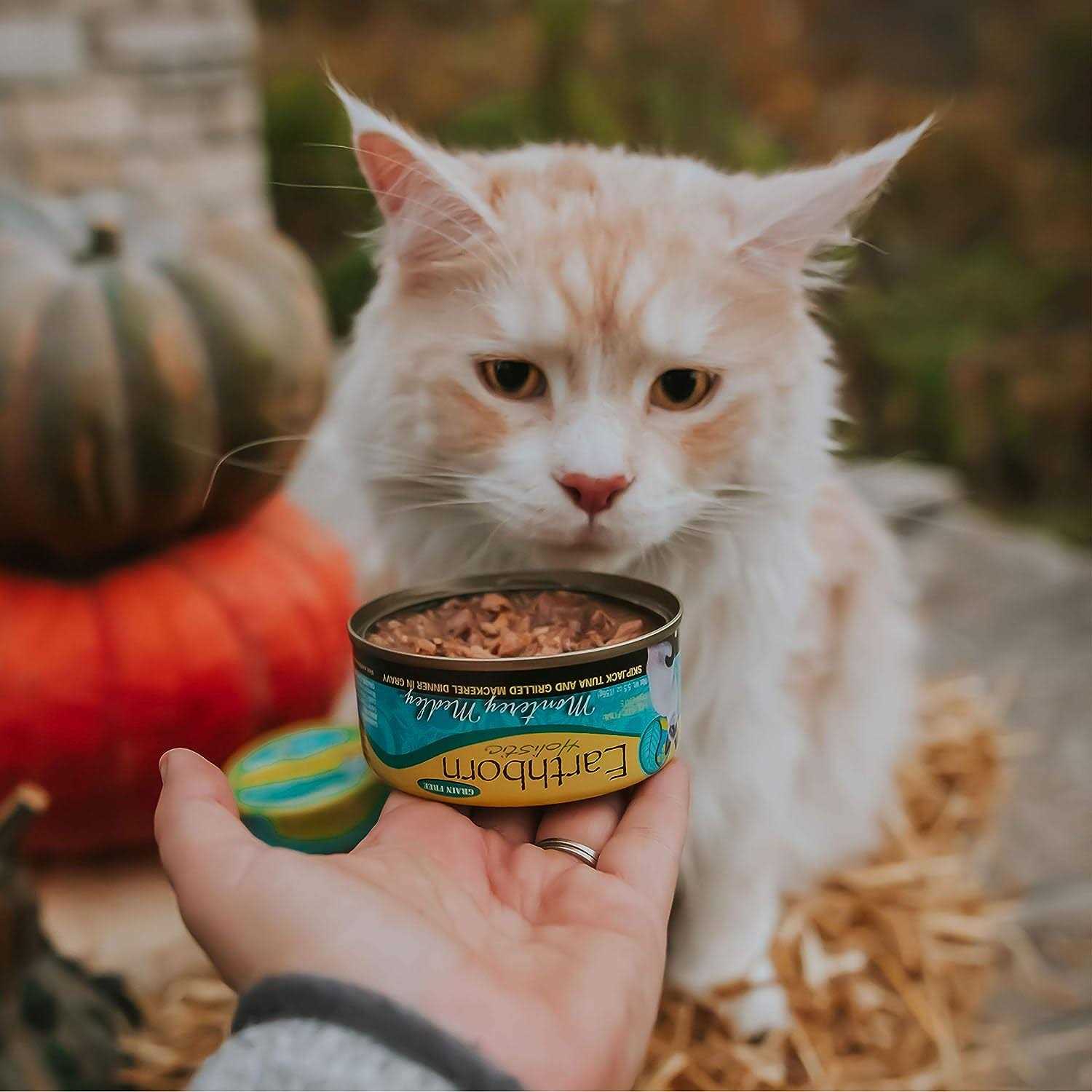 Earthborn Holistic Monterey Medley Cat Food - Nail Gallerys