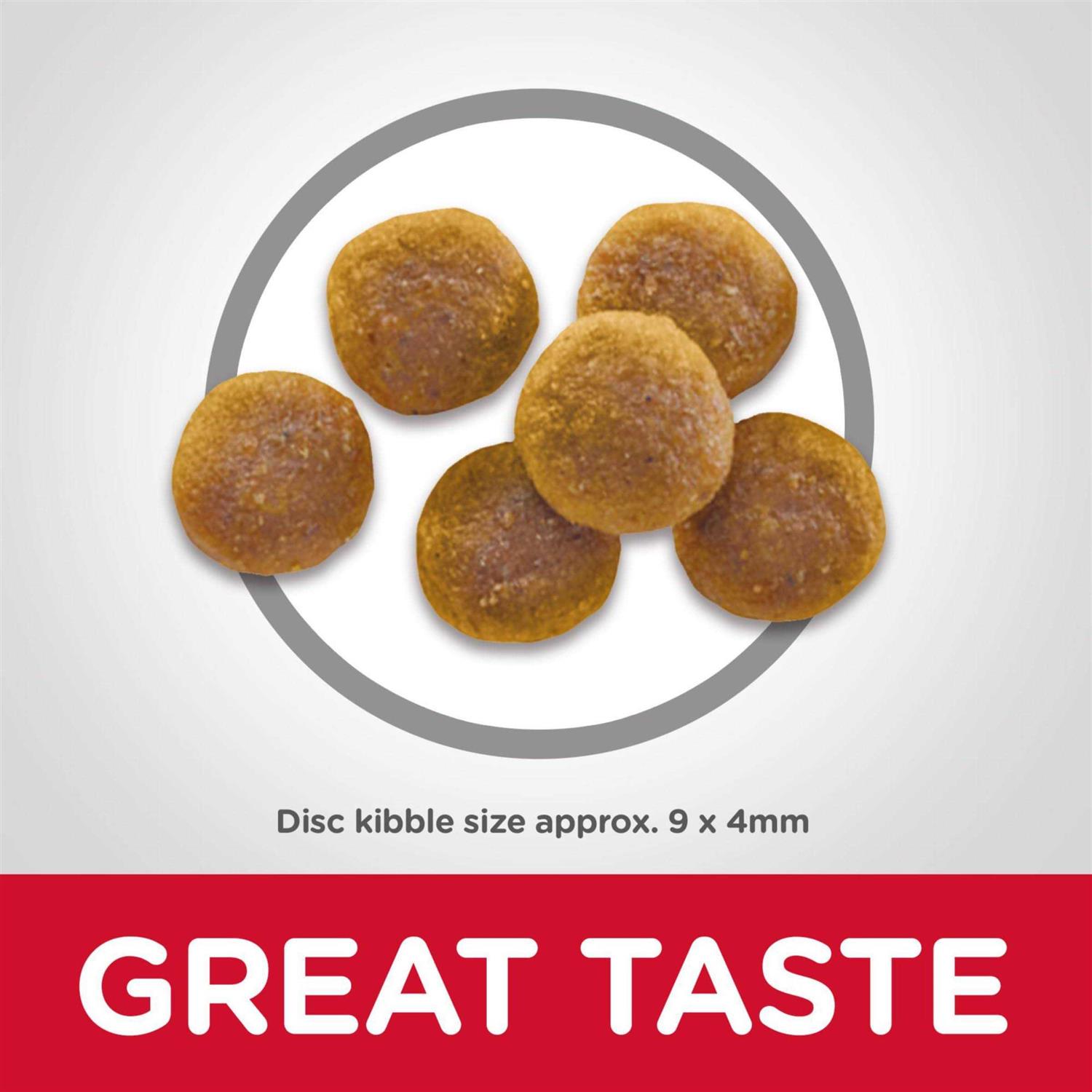 Hill’s Science Diet Adult Dry Cat Food - Nail Gallerys