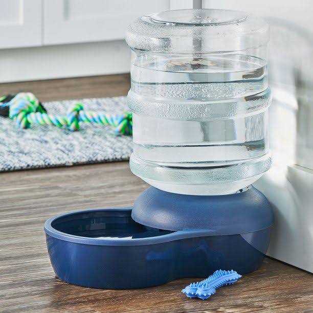 Vibrant Life Gravity Pet Waterer - Nail Gallerys