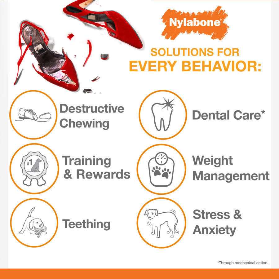 Nylabone Power Chew Lobster Dog Toy Filet Mignon - Nail Gallerys