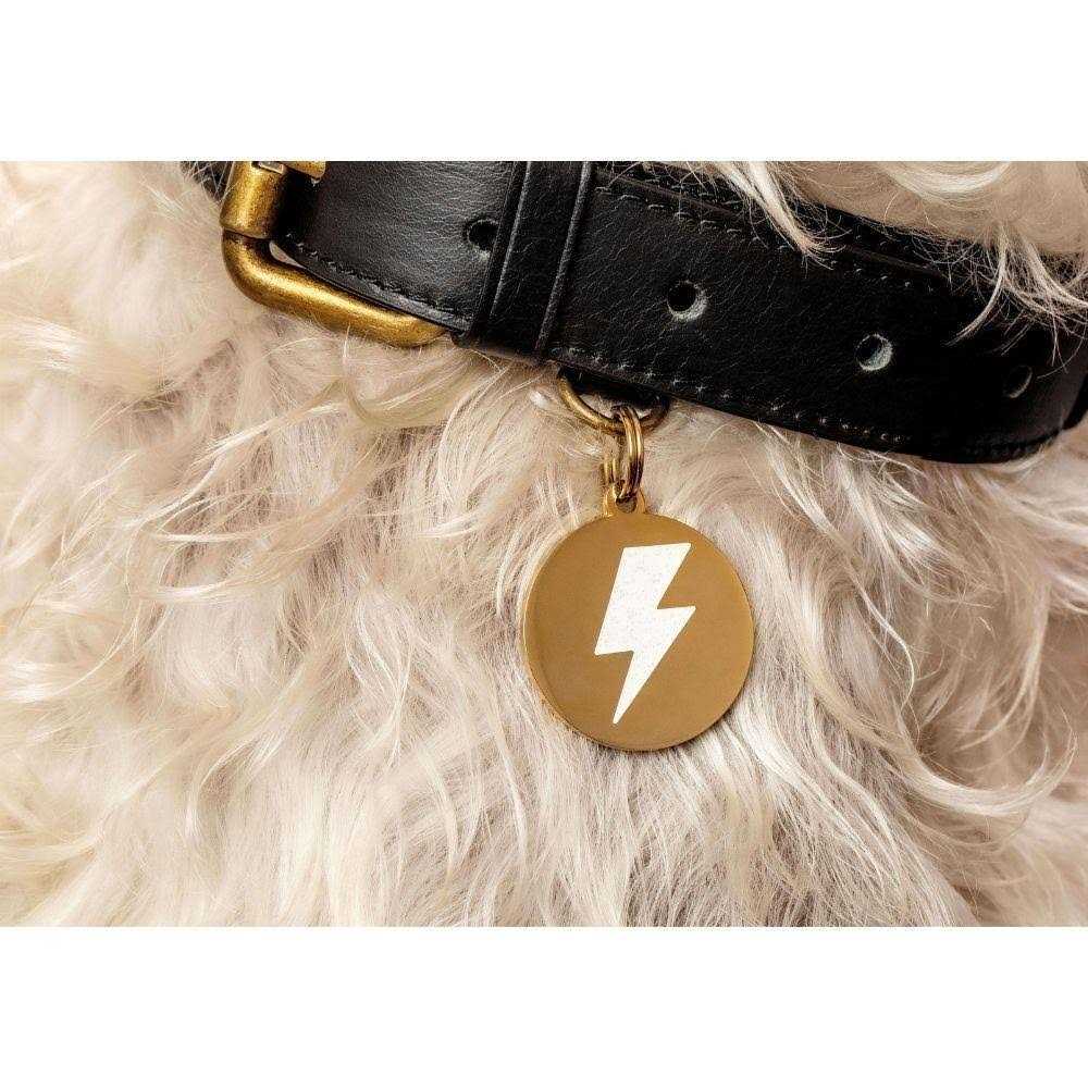 Two Tails Pet Company Lightning Bolt Pet ID Tag - Nail Gallerys