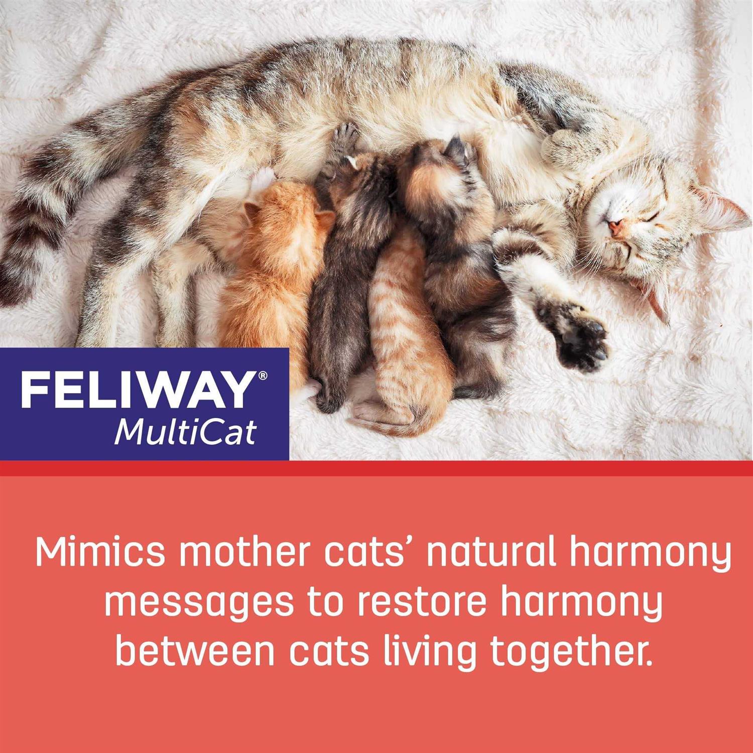 Feliway Multicat 3-Pack Refill - Nail Gallerys