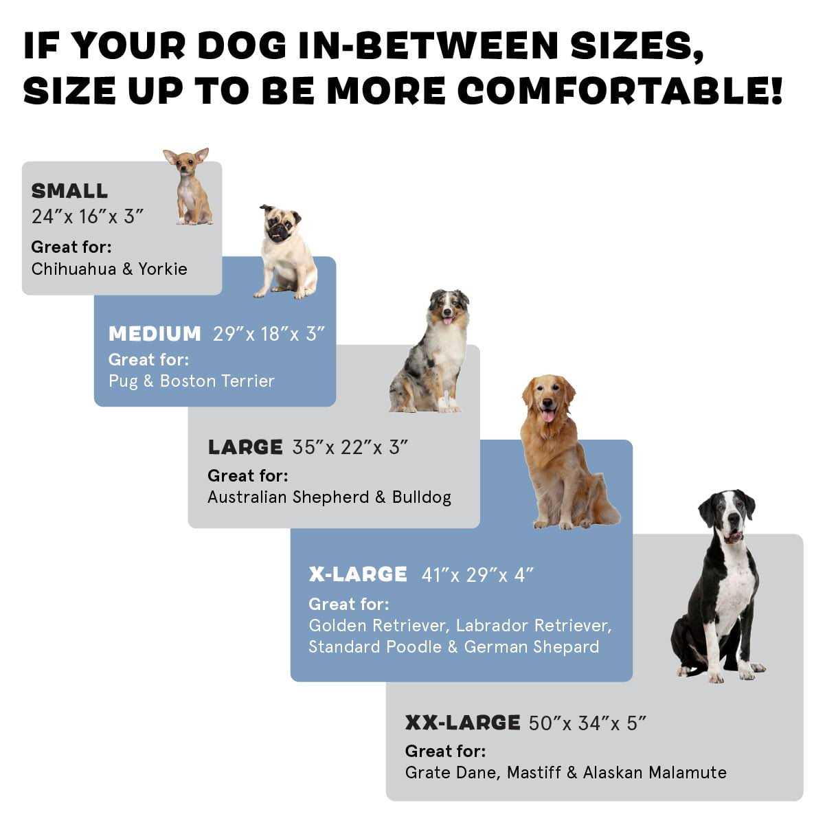 Barkbox Memory Foam Platform Dog Bed Plush Mattress for Orthopedic Joint Relief - Nail Gallerys