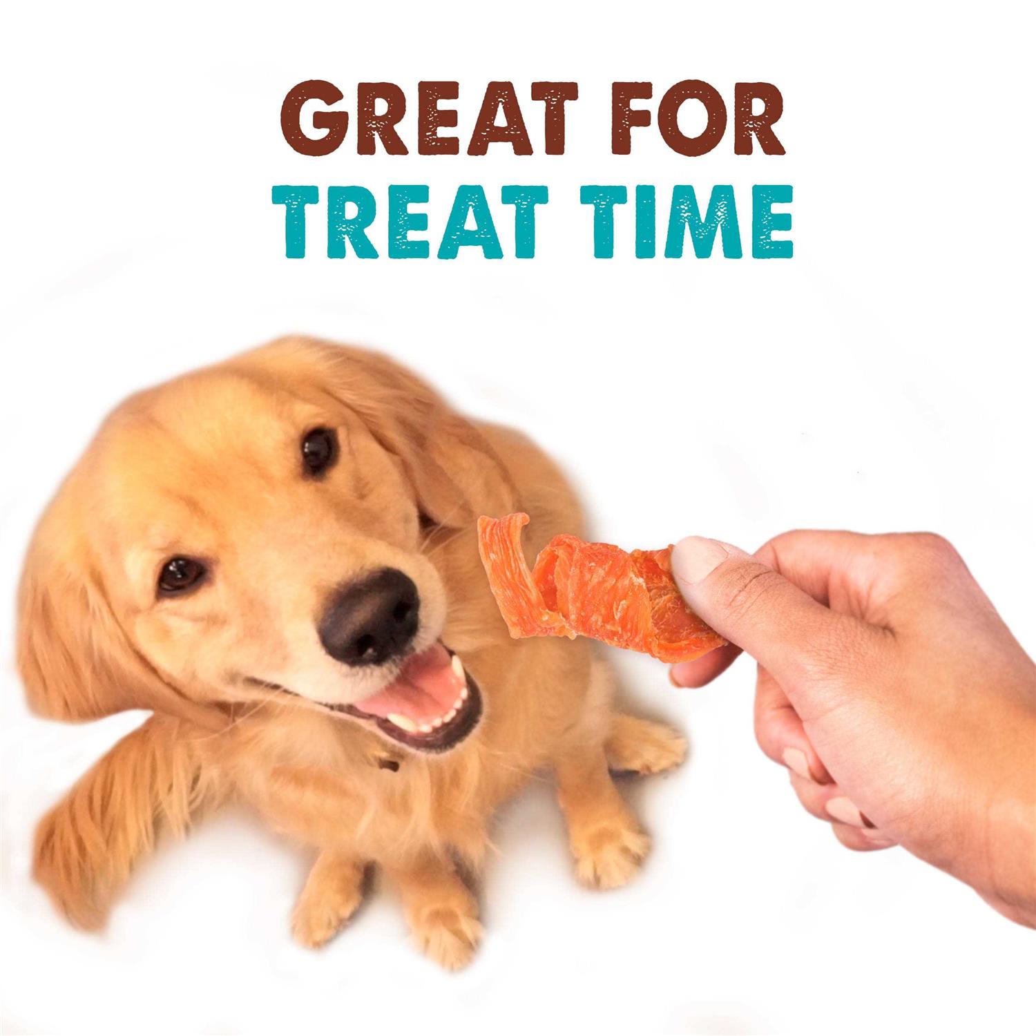 Waggin’ Train Chicken Jerky Curls Dog Treats - Nail Gallerys