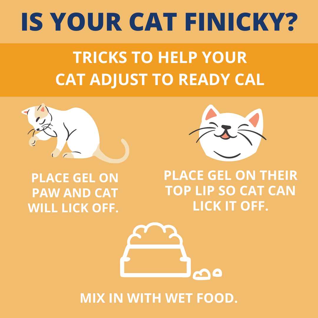 Under the Weather Pet Ready Cal for Cats 100cc High Calorie Supplement - Nail Gallerys