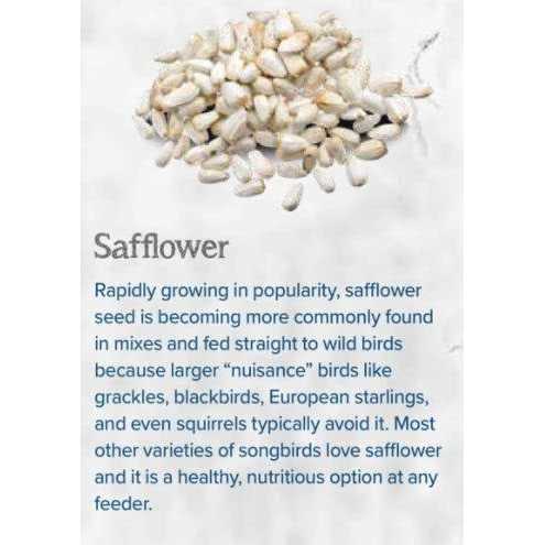 CountryMax Backyard Seeds Safflower Bird Seed for Cardinals - Nail Gallerys