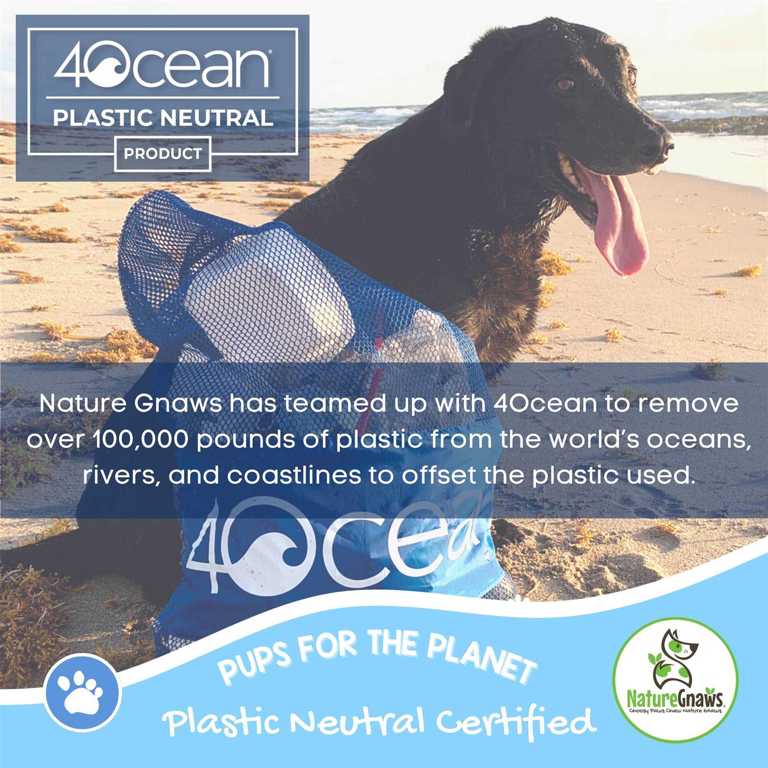 Nature Gnaws Beef Tendon Natural Dog Chews - Nail Gallerys