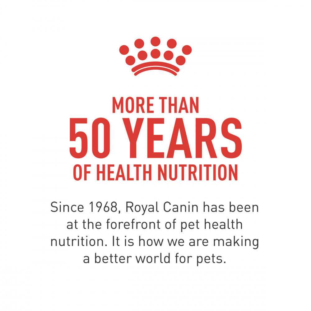 Royal Canin Breed Health Nutrition Dachshund Puppy Dry Dog Food - Nail Gallerys