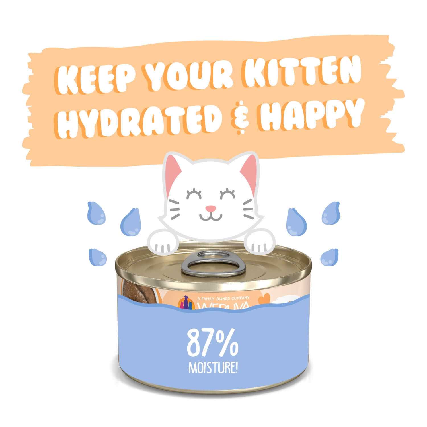 Weruva Kitten Tuna & Salmon Formula in a Hydrating Puree Cat Food - Nail Gallerys