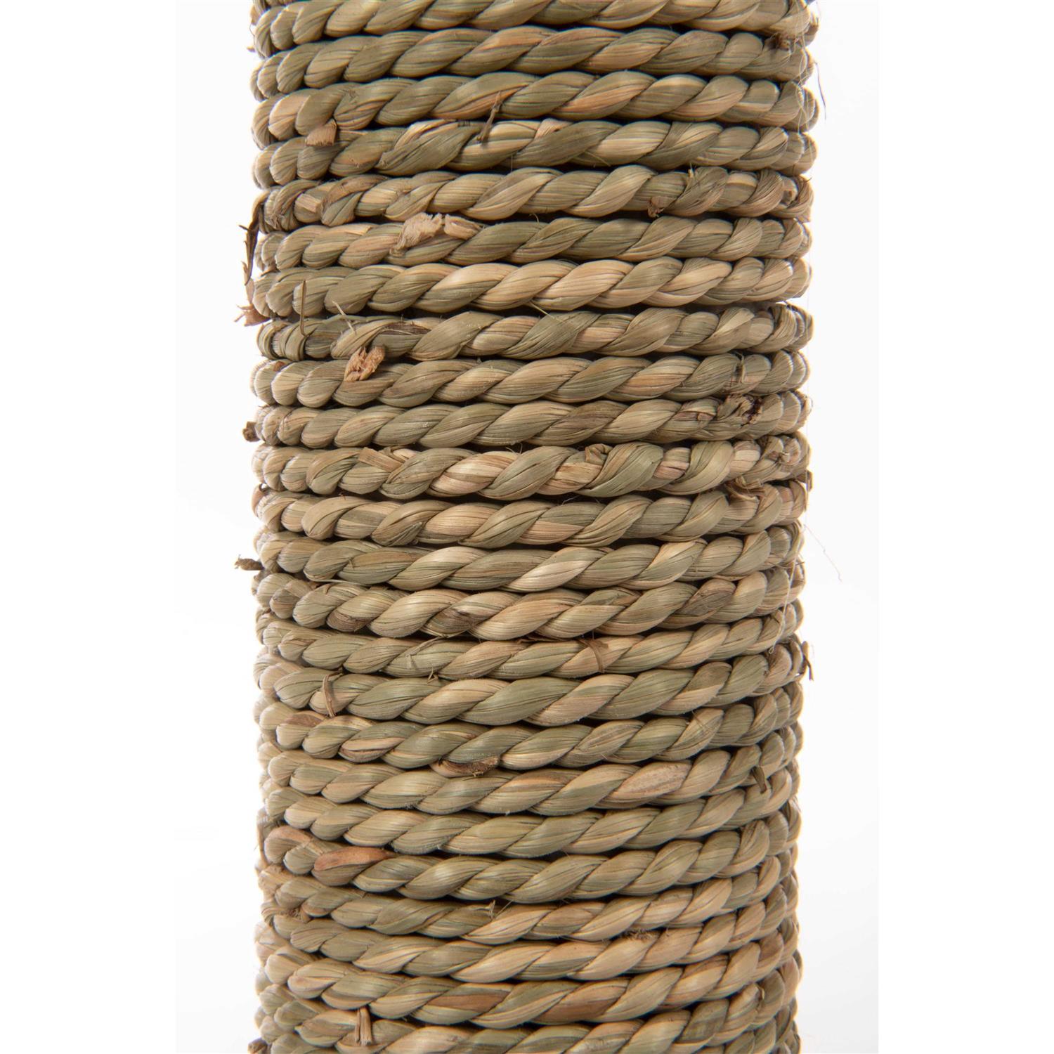 SmartyKat Simply Scratch Post with Feather Toy - Nail Gallerys