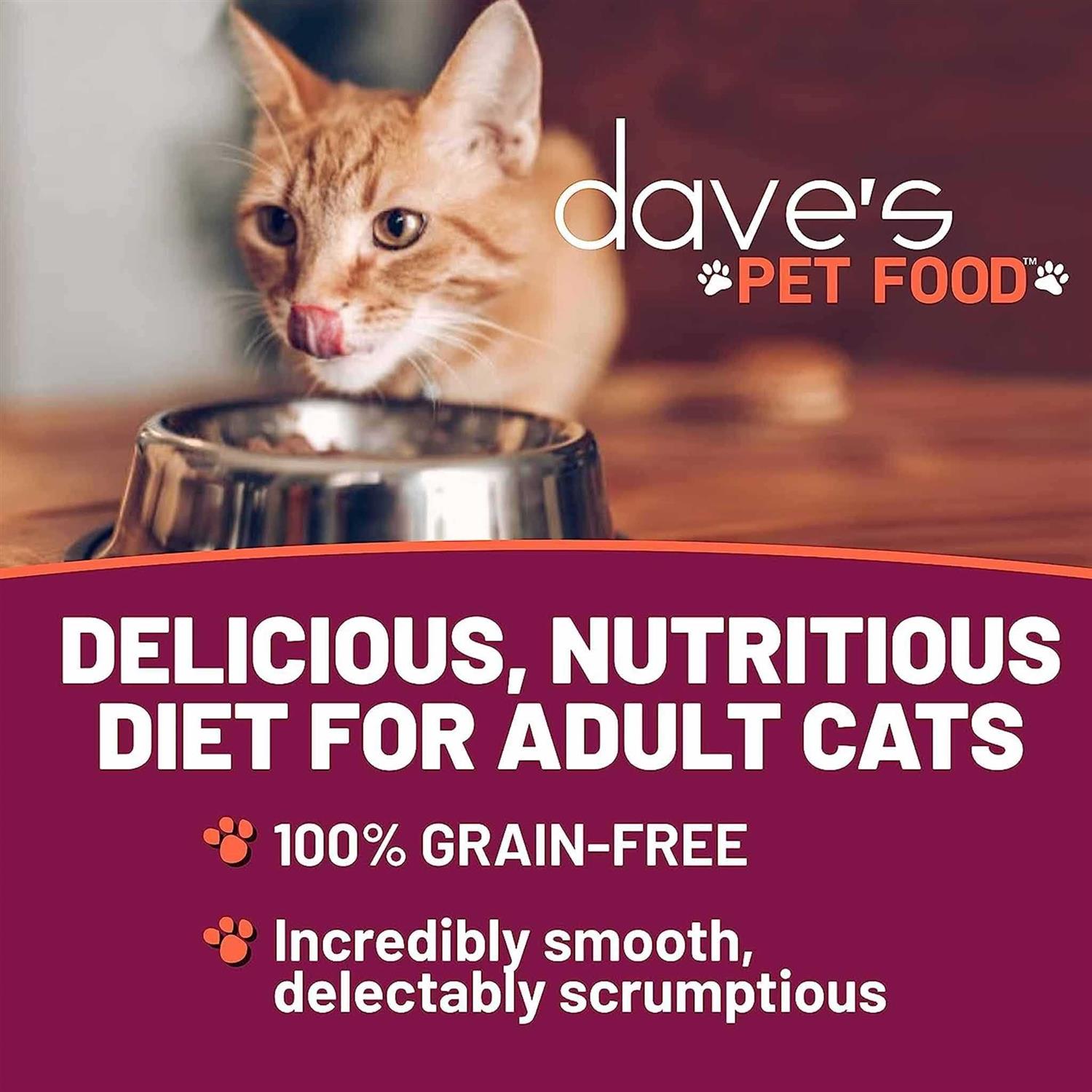 Dave’s Food Naturally Healthy Chicken Formula Canned Cat - Nail Gallerys