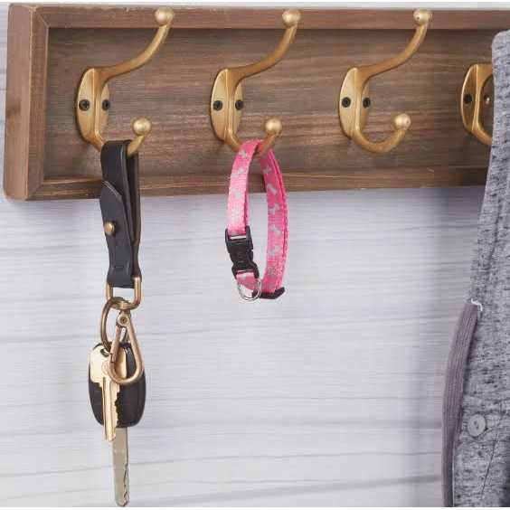 Vibrant Life Reflective Dog Collar - Nail Gallerys