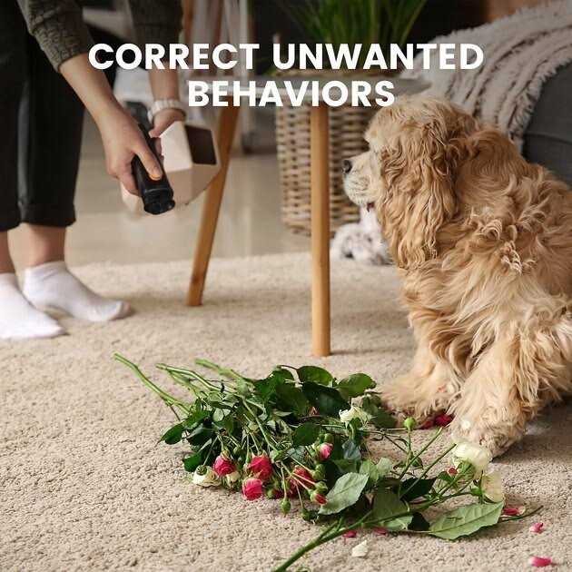 DogCare ED11 Ultrasonic Dog Bark Deterrent - Nail Gallerys