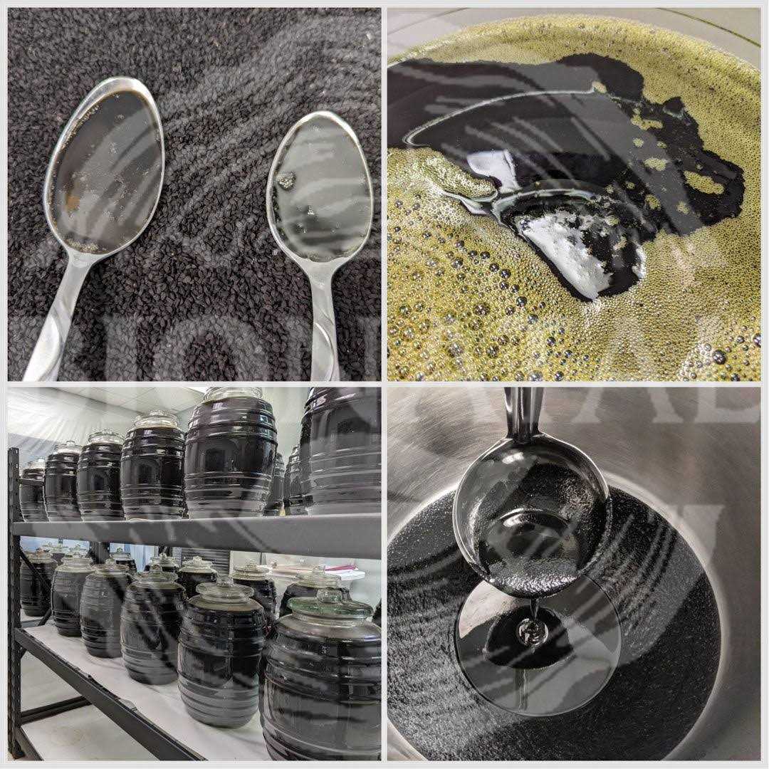 BioNatal Ethiopian Black Seed Oil 16oz - Nail Gallerys