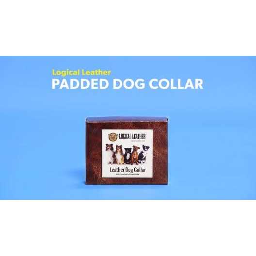 Logical Leather Padded Dog Collar Best Full Grain Genuine Leather Collar - Nail Gallerys