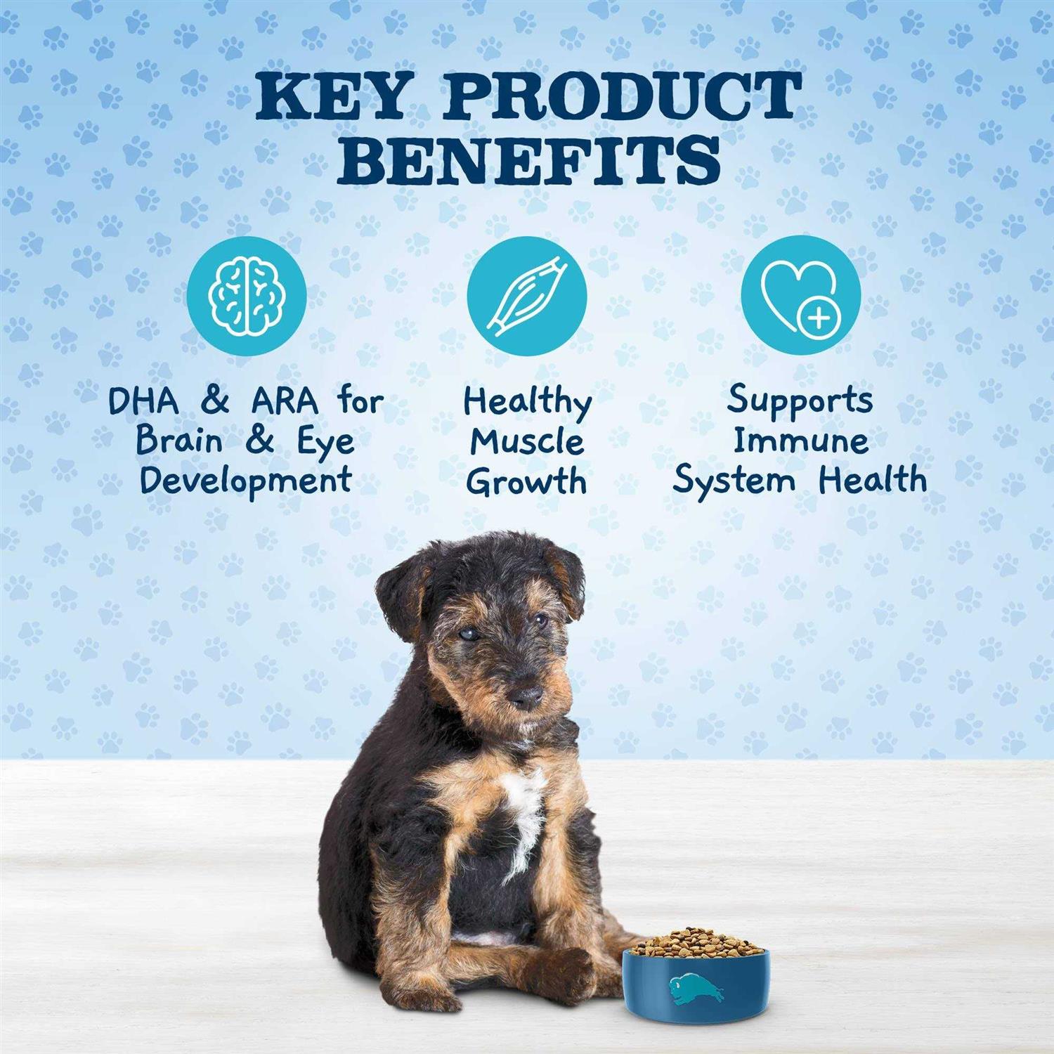Blue Buffalo Baby Blue Healthy Growth Formula Natural Puppy Dry Dog Food, Chicken and Brown Rice Recipe - Nail Gallerys
