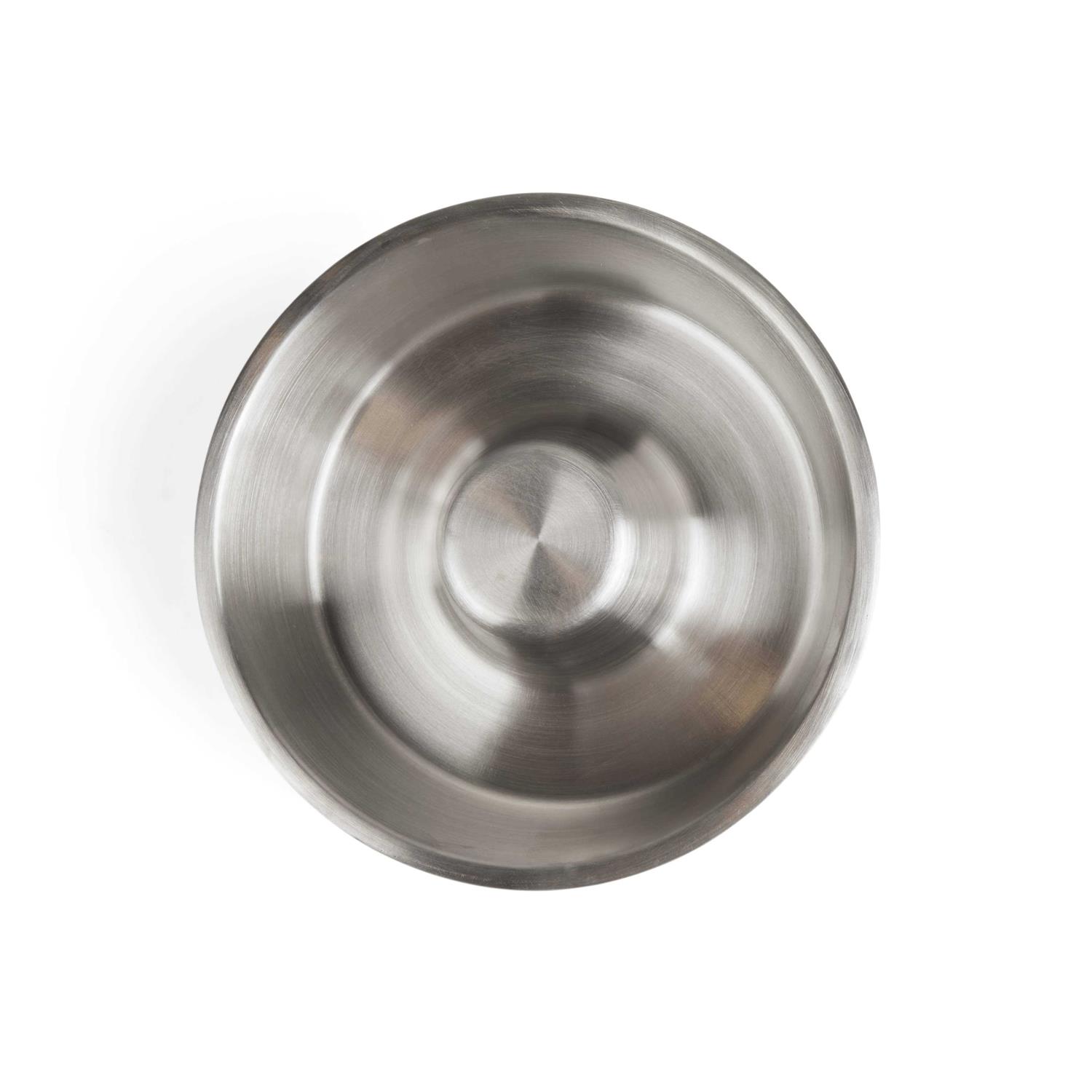 Reddy Slanted Slowfeeder Dog Bowl - Nail Gallerys