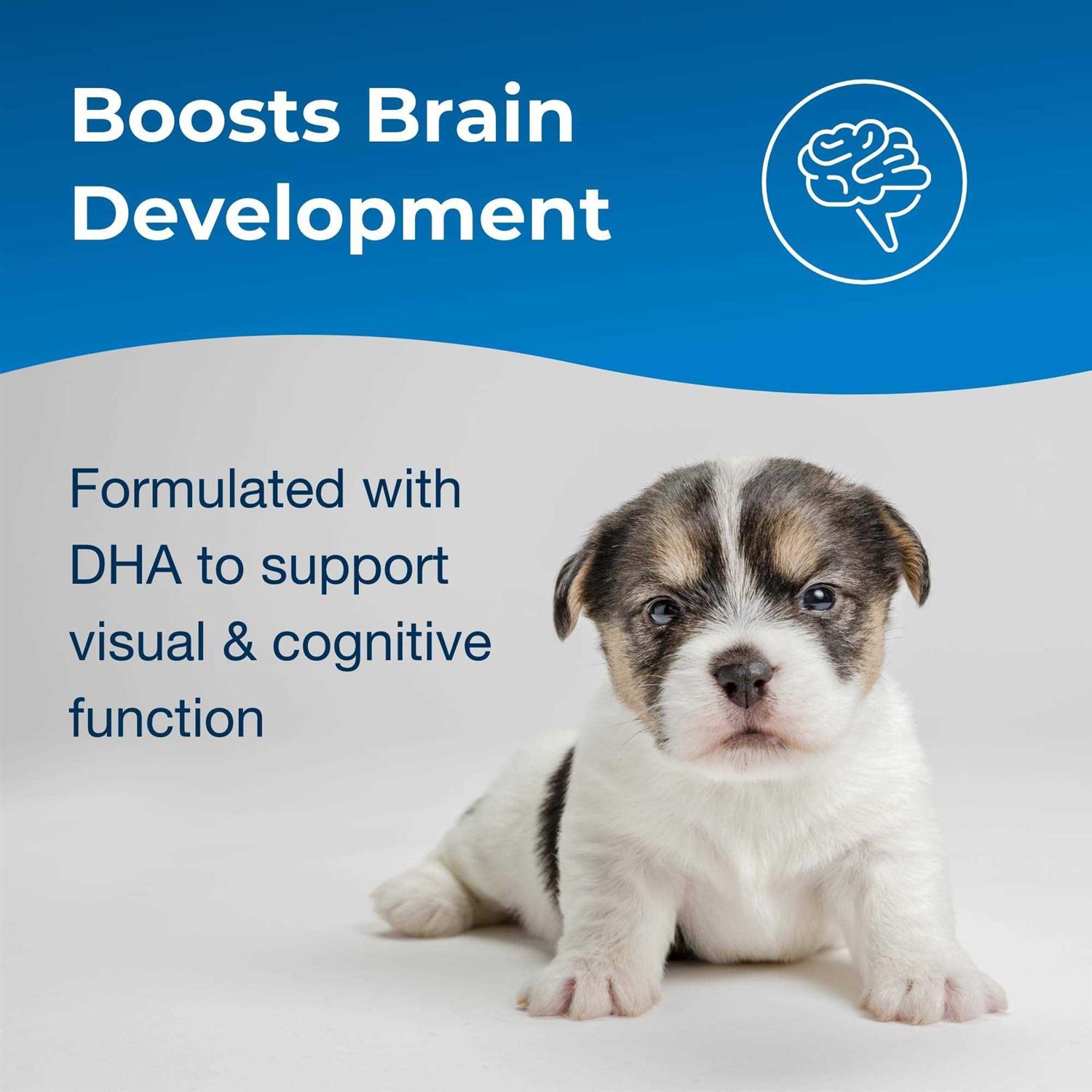 PetAg 2nd Step Esbilac Puppy Weaning Food - Nail Gallerys