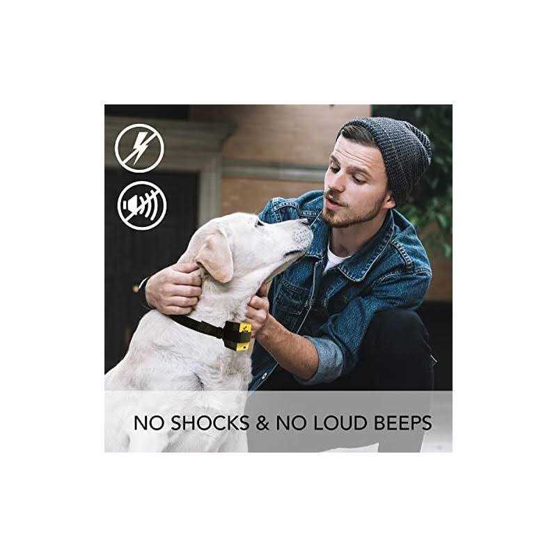 Downtown Pet Supply Citronella Bark Collar - Nail Gallerys