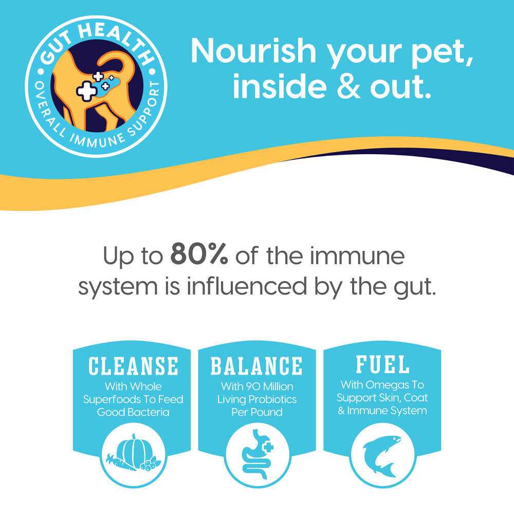 Solid Gold Nutrientboost Fit & Fabulous Chicken Dry Dog Food - Nail Gallerys