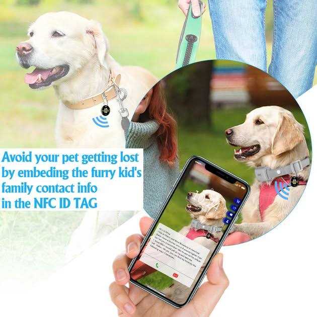 PATPET P650 Remote Training Collar for Small Medium Large Dogs Safe Shock - Nail Gallerys